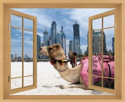 Фотообои с окном Верблюд на городском пляже